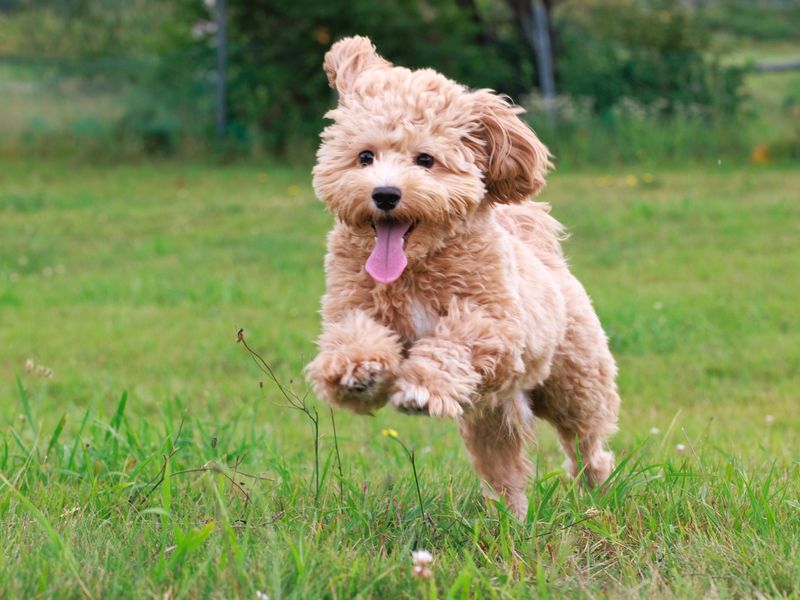 健康で幸せな一生のために・・・。