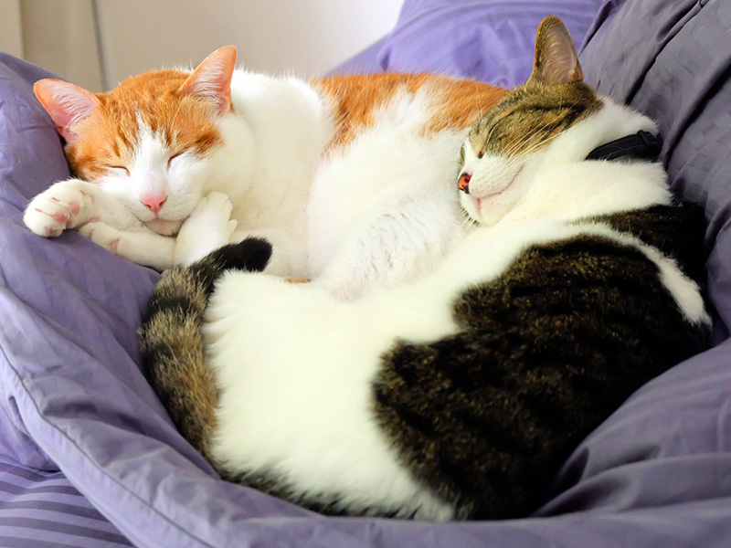 よくある老化症状