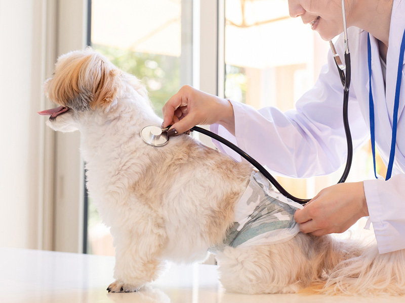 定期健診のすすめ