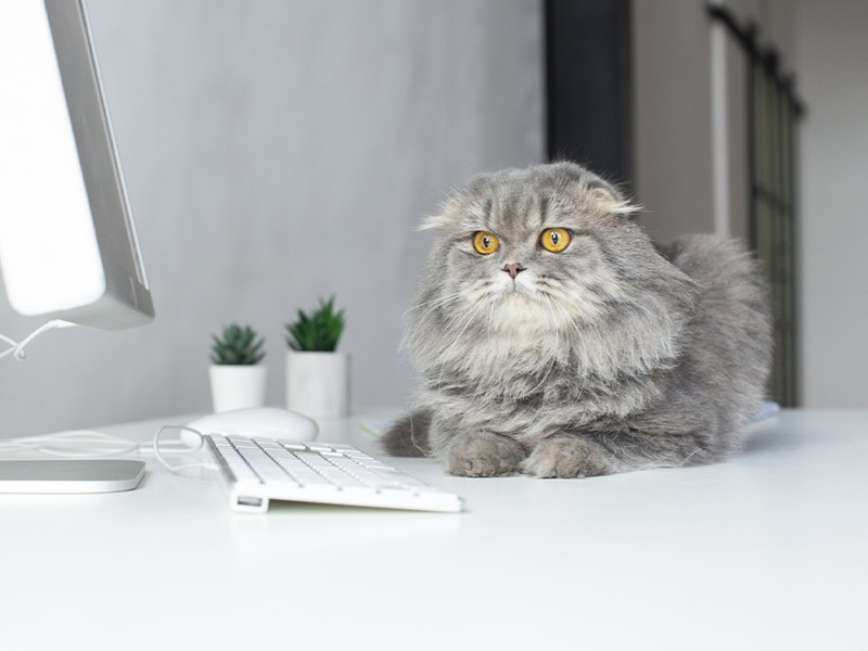 薬で支えるシニアライフ