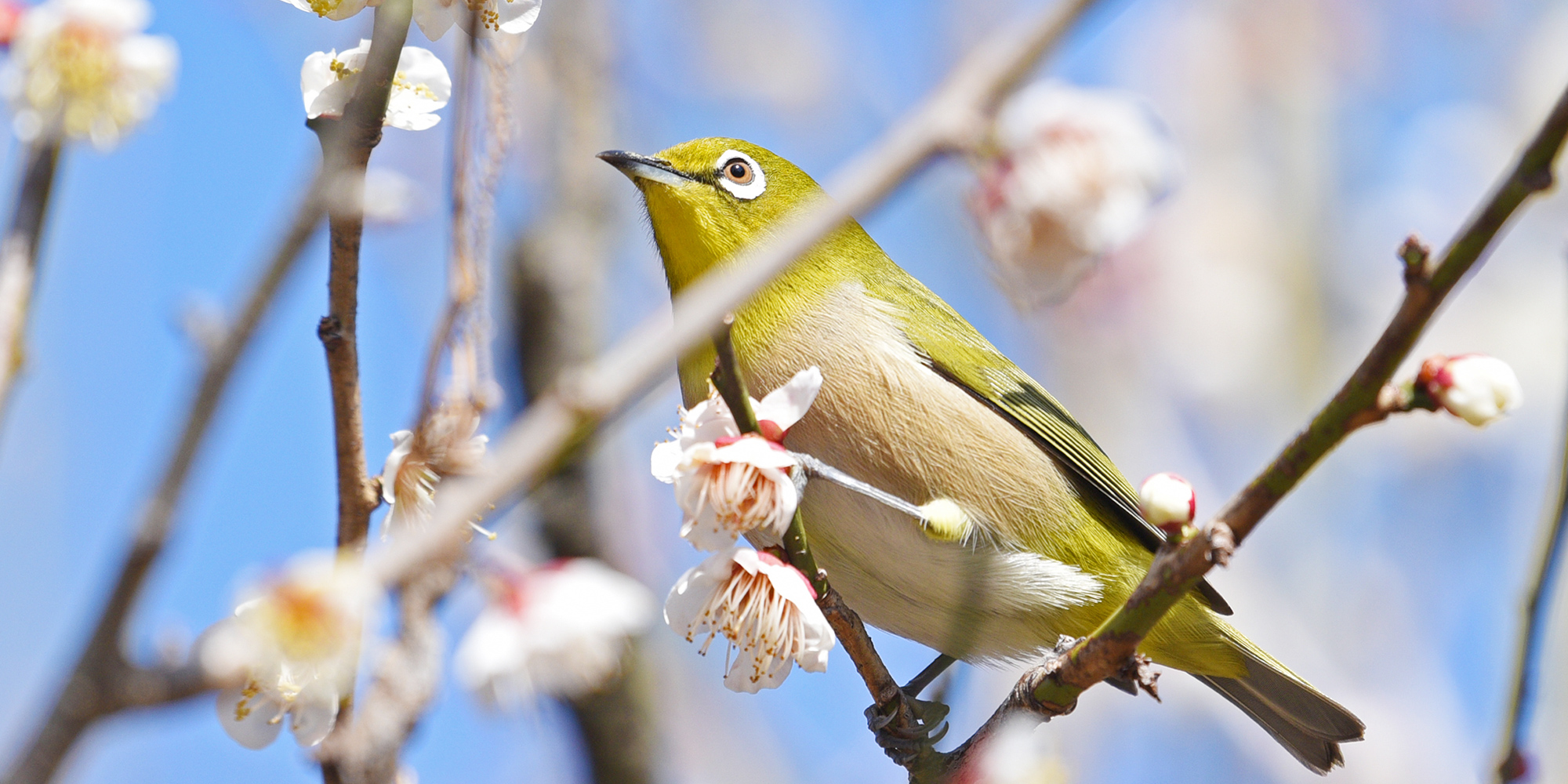 MTペットクリニック浜松病院