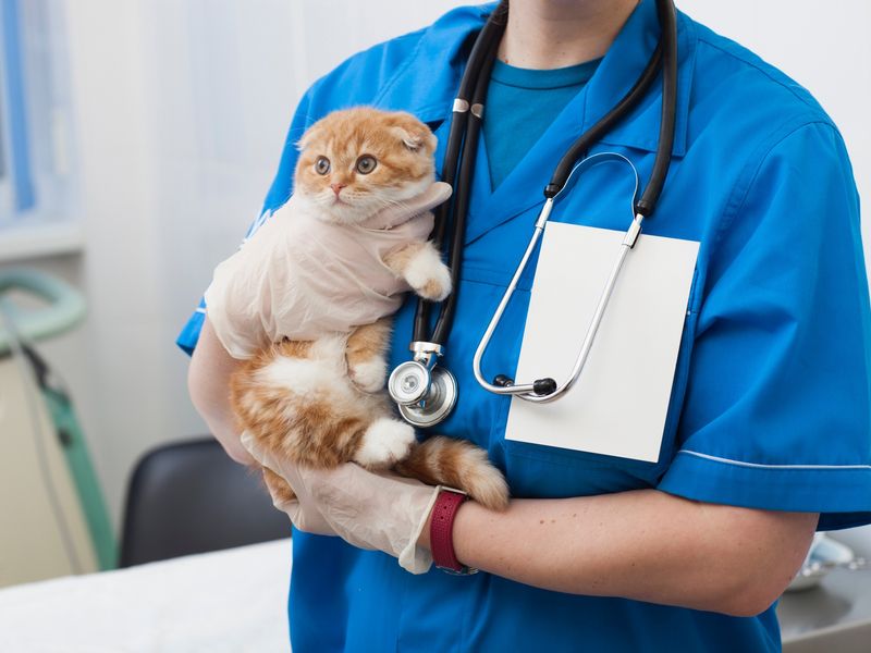 定期健康相談のすすめ